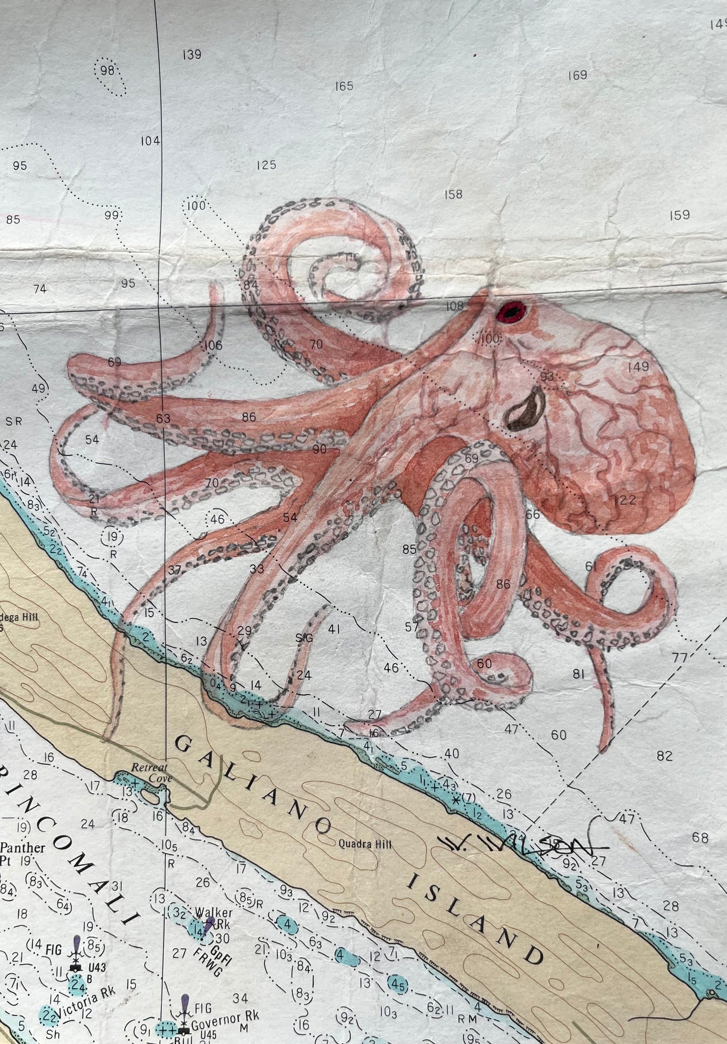 Navigation Chart Art - Octopus