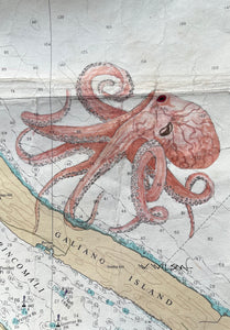 Navigation Chart Art - Octopus