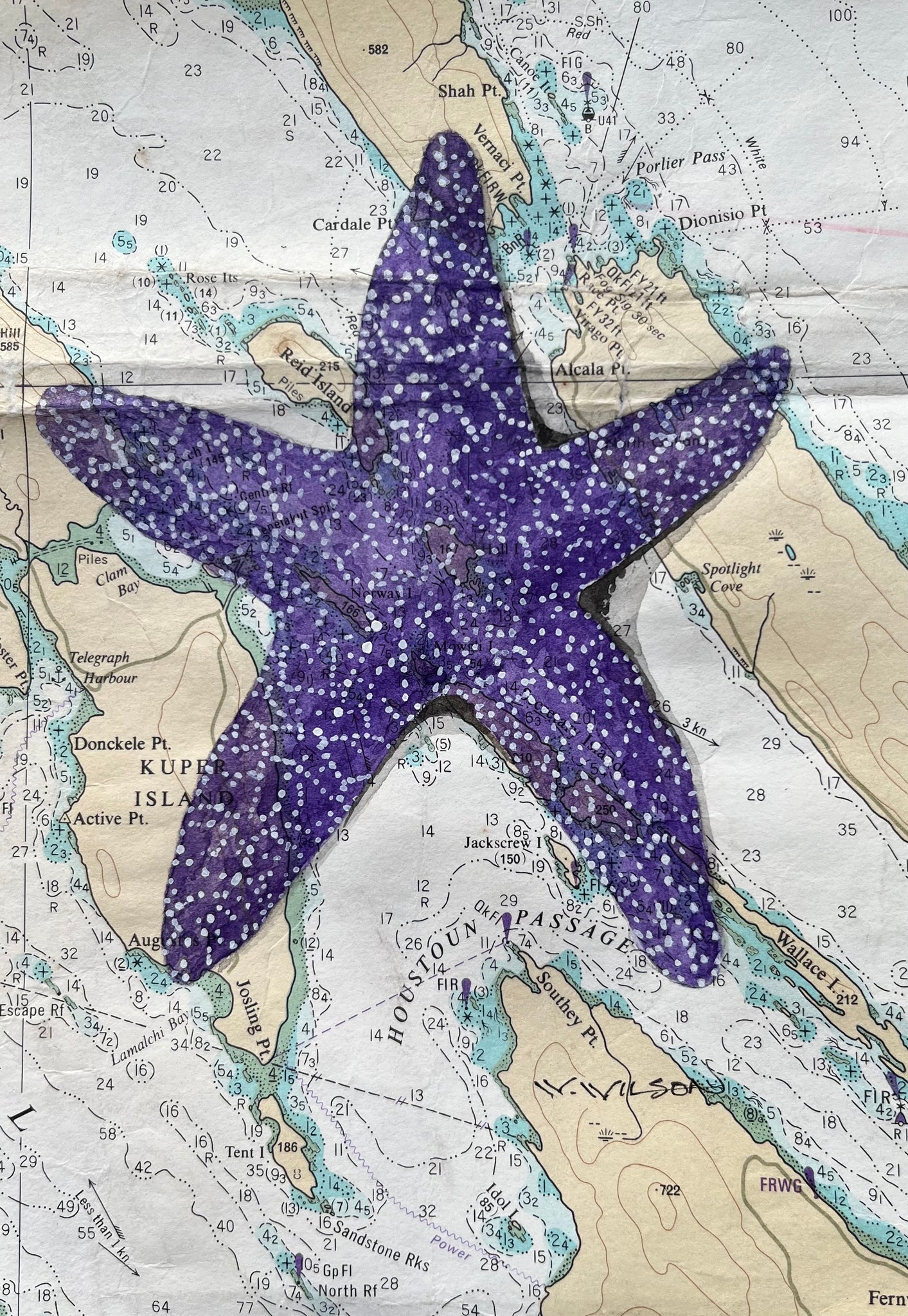 Navigation Chart Art - Starfish