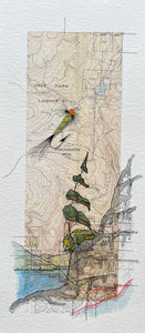 Topographic Map Art - Fly Pattern - PINCUSHION MTN