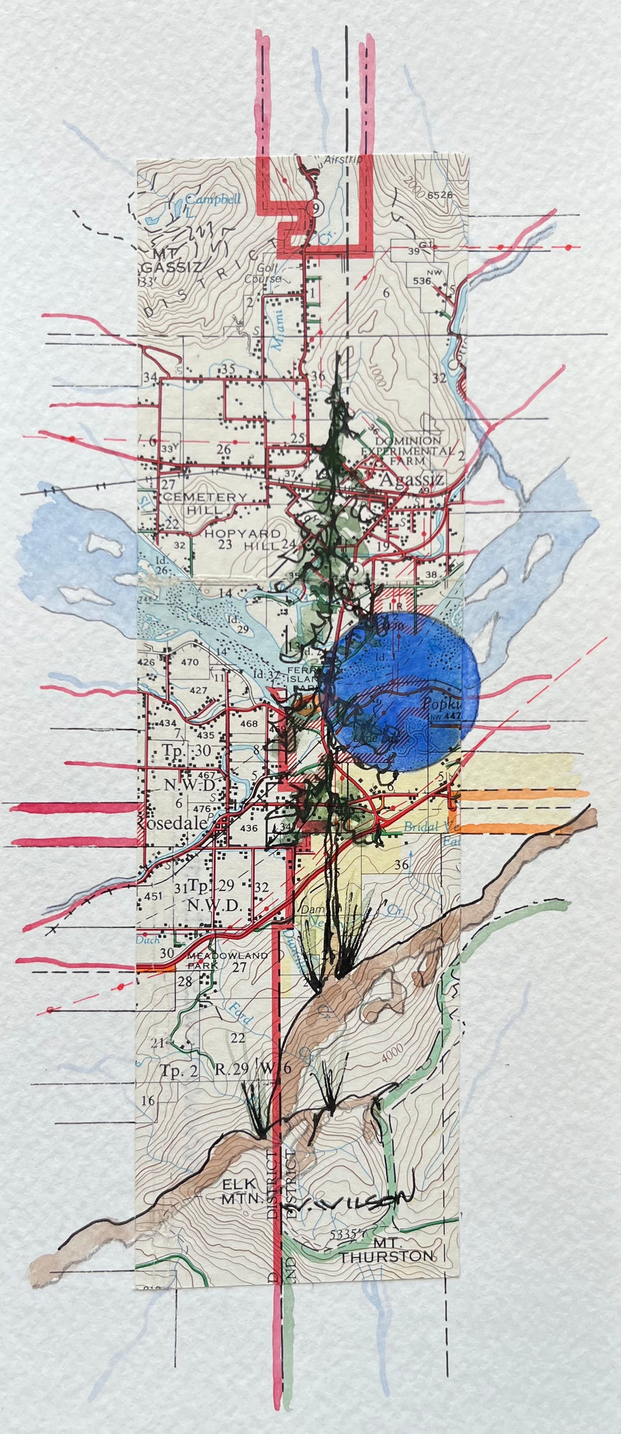 Topographic Map Art - AGASSIZ